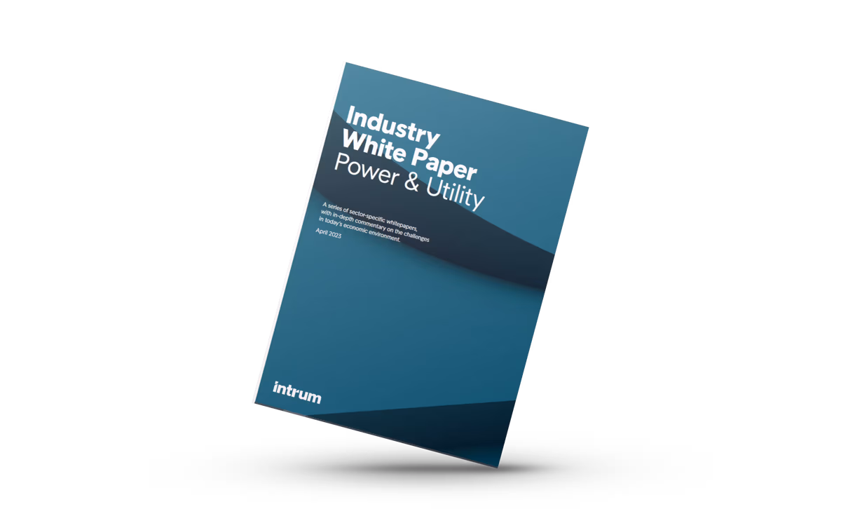 White Paper 2023: Power and Utility industry