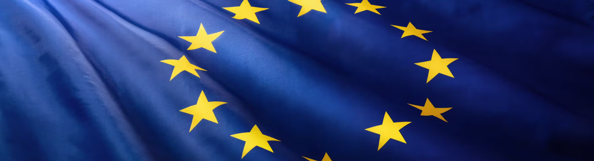 The EU AI Act: Compliance or Constraint?